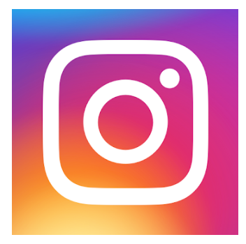 Link to Instagram political Profil